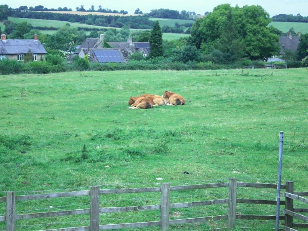 Stone House Bed and Breakfast Sulgrave Rum bild